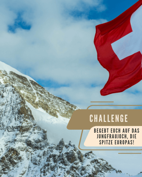 Freunde Starter-Set L